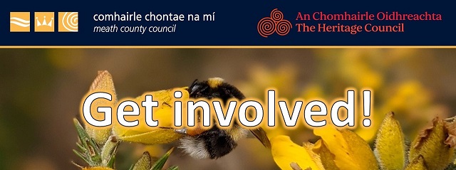 Meath Biodiversity Action Plan 2025 - 2030 Consultation Header Image
