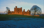 Bective Abbey