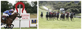 Bellewstown Racecourse