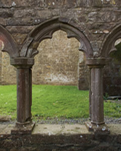 View of the decorative stone work at Bective Abbey