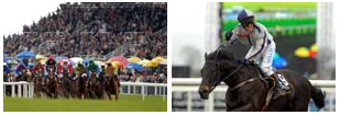Fairyhouse Racecourse