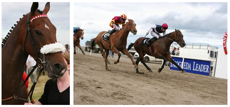 Laytown Races