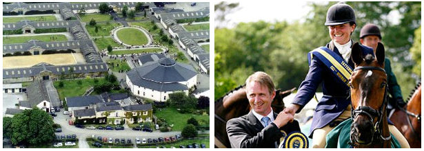 Tattersalls aerial view and rider