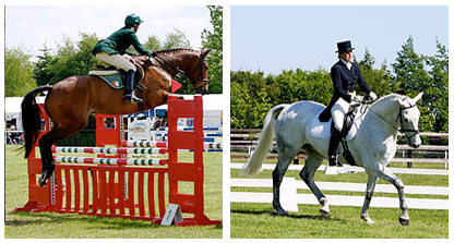 Dressage at Tattersalls