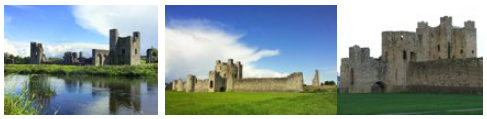 3 photographs of Trim Castle