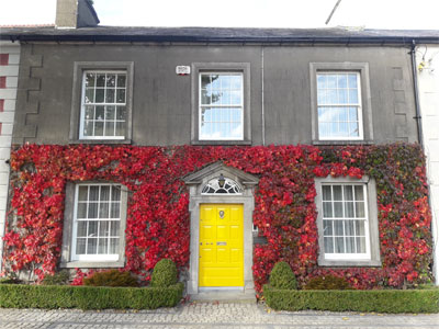 Photograph of the exterior of a historic building with yellow door covered in red ivy