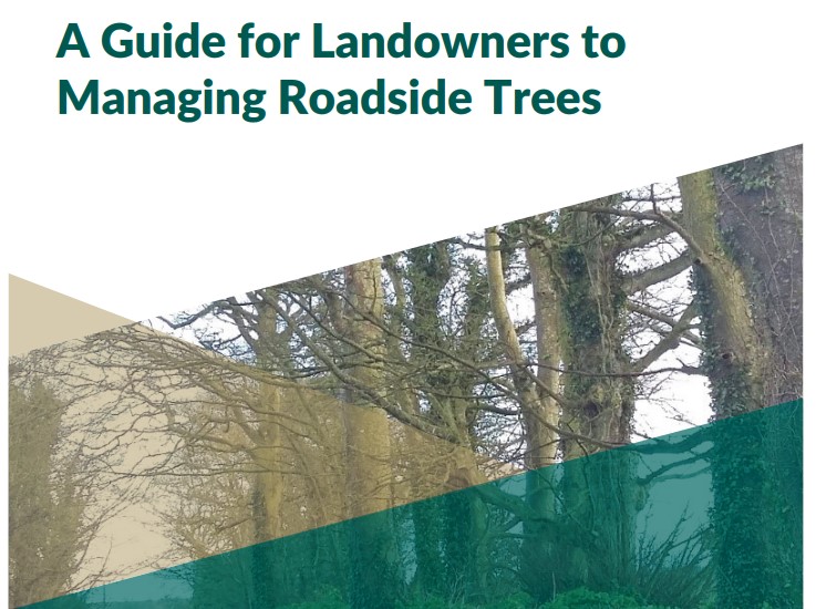 Managing Roadside Trees