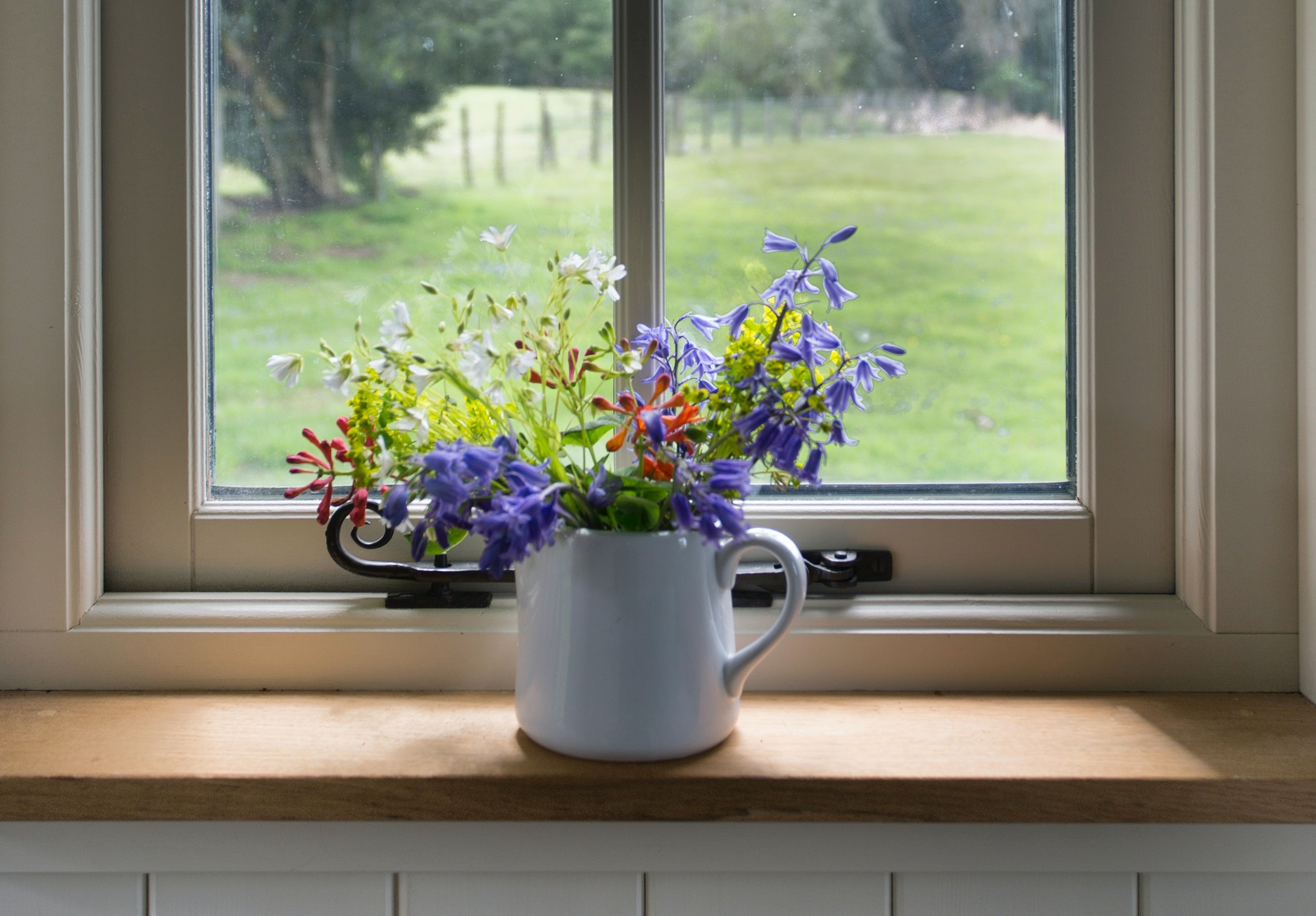 Window flower