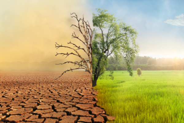 What is Climate Change?