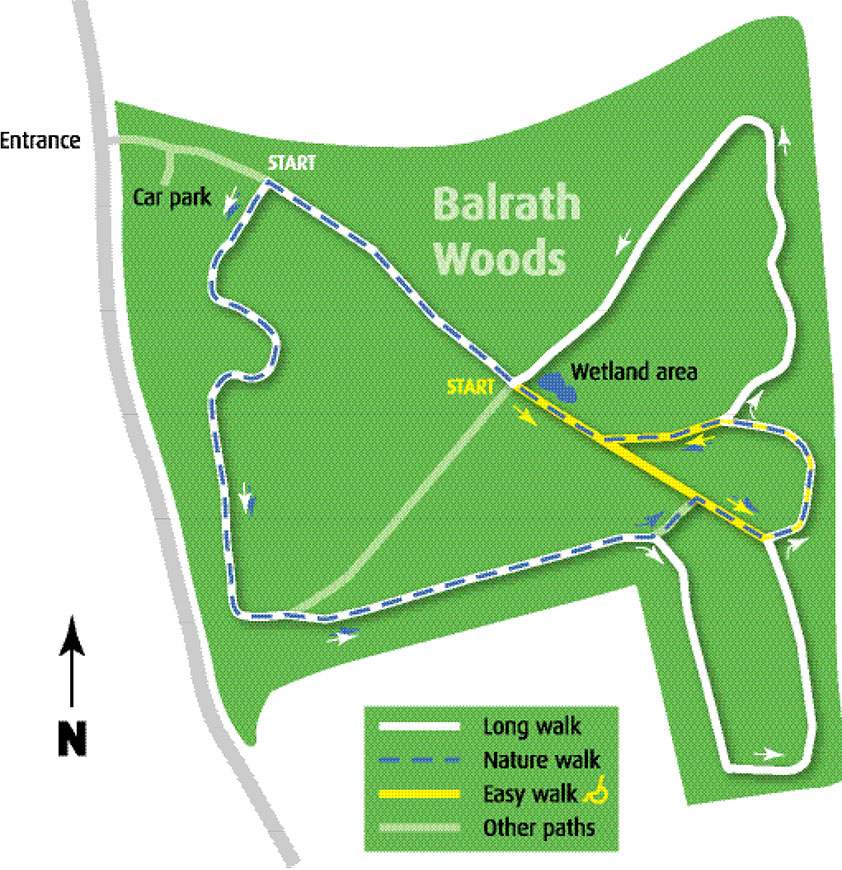 Balrath Woods Map