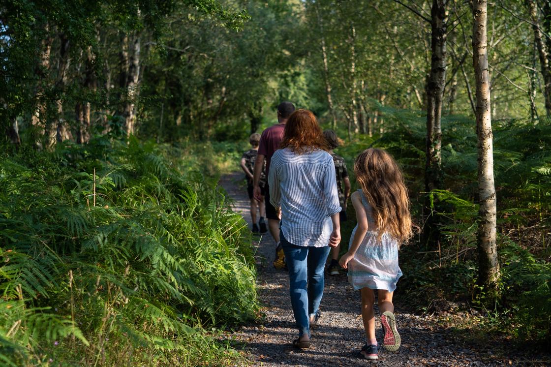 Girley Bog Woods