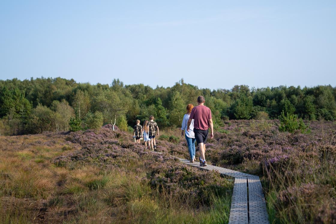 Girley Bog