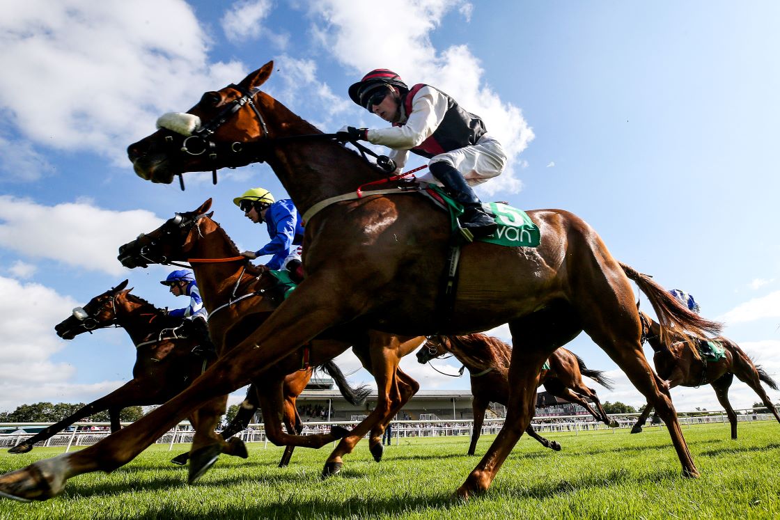 Navan Racecourse