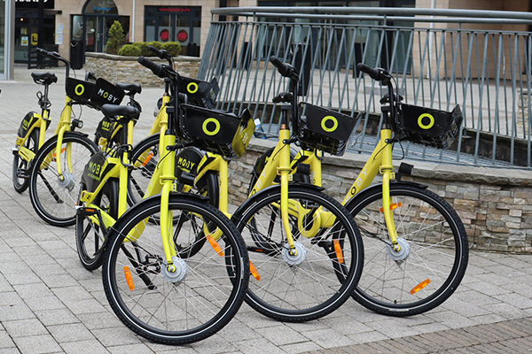 Bikes standing side by side