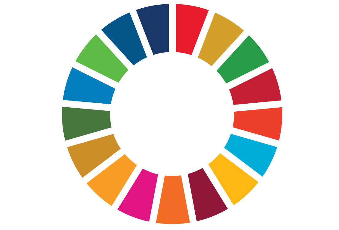 Sustainable Development Goals Logo. Wheel comprised of different coloured segments