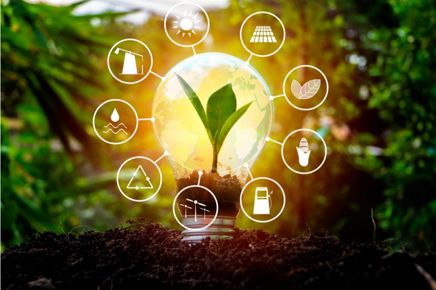 Plant sapling in foreground with leaves in the background. The sapling is surrounded by a circle of light and environment related symbols