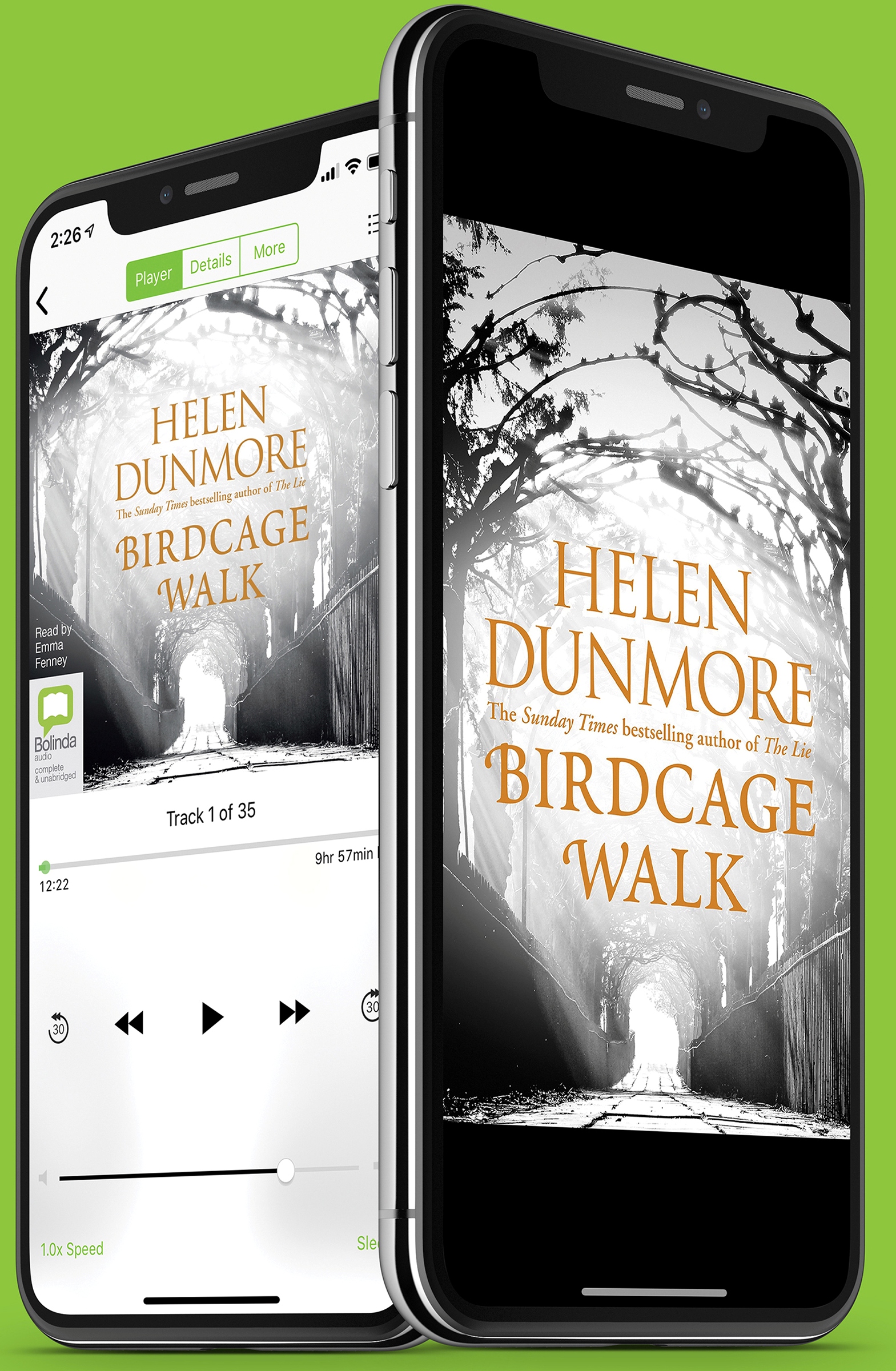 Birdcage Walk by Helen Dunmore eAudiobook Cover on a Phone