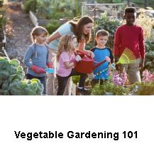 Vegetable Gardening 101 eLearning Course