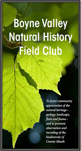 Boyne Valley Natural History Field Club