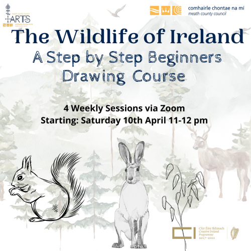 Wildlife of Ireland Drawing Course