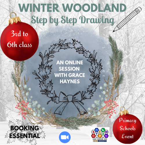 Winter Woodland Drawing Workshop for Schools Image of a Christmas Wreath on a snowy woodland background