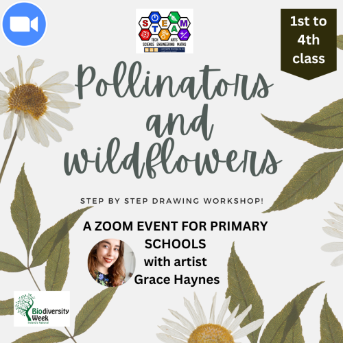 Pollinators and Wildflowers Event 