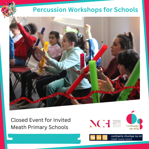 Percussion Workshops for Primary Schools with The National Concert Hall Cruinniú for Schools 2024