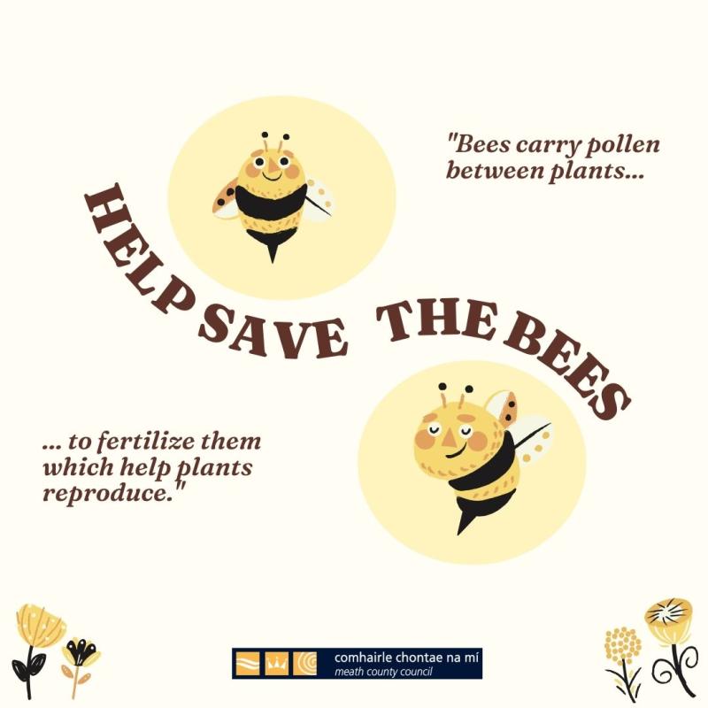Help save the bees