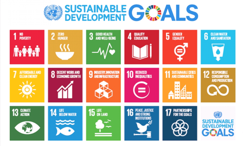 Trim to pilot localisation of Sustainable Development Goals