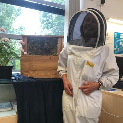Busy as Bees - Dunboyne Library