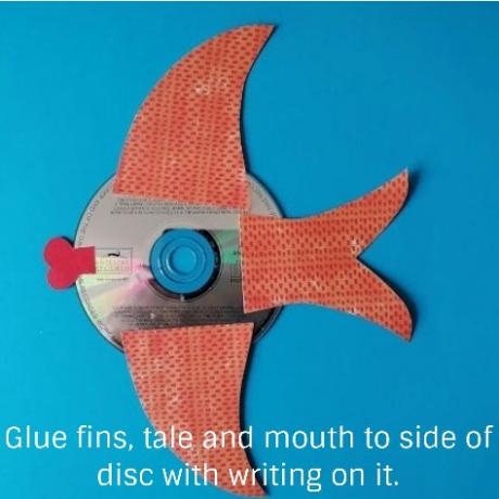 CD Fish