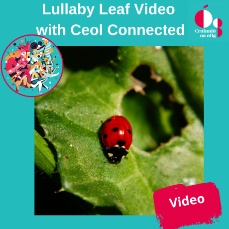 Cruinniu 2022 Lullaby Leaf