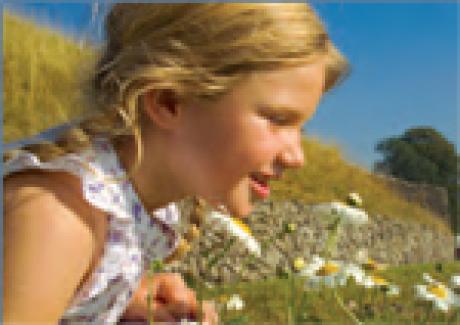 Child in field of daisies