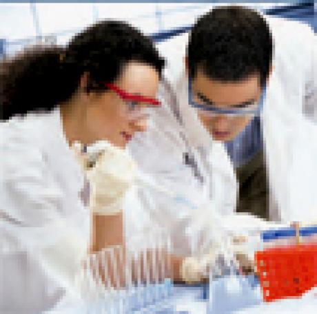 Laboratory staff working