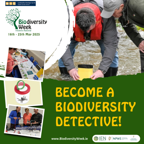 Become a Biodiversity Detective