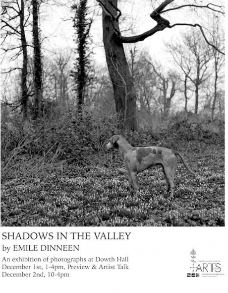Shadows in the Valley by Emile Dinneen