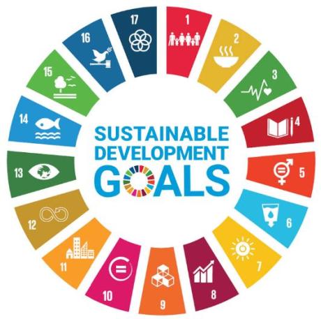 Sustainable Development Goals Wheel Graphic