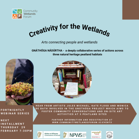 Creativity for the Wetlands poster