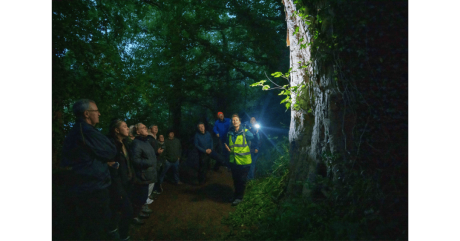 Sonairte Bat Walk